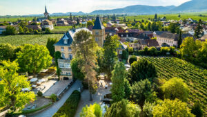 Schloss Edesheim @Privathotels Dr. Lohbeck, das Schloss wird von Baeumen verdeckt, im Hintergrund ist ein Dorf und eine Berglandschaft zu sehen